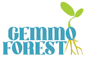 Gemmo Forest